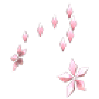 Flower Aura  - Rare from Accessory Chest